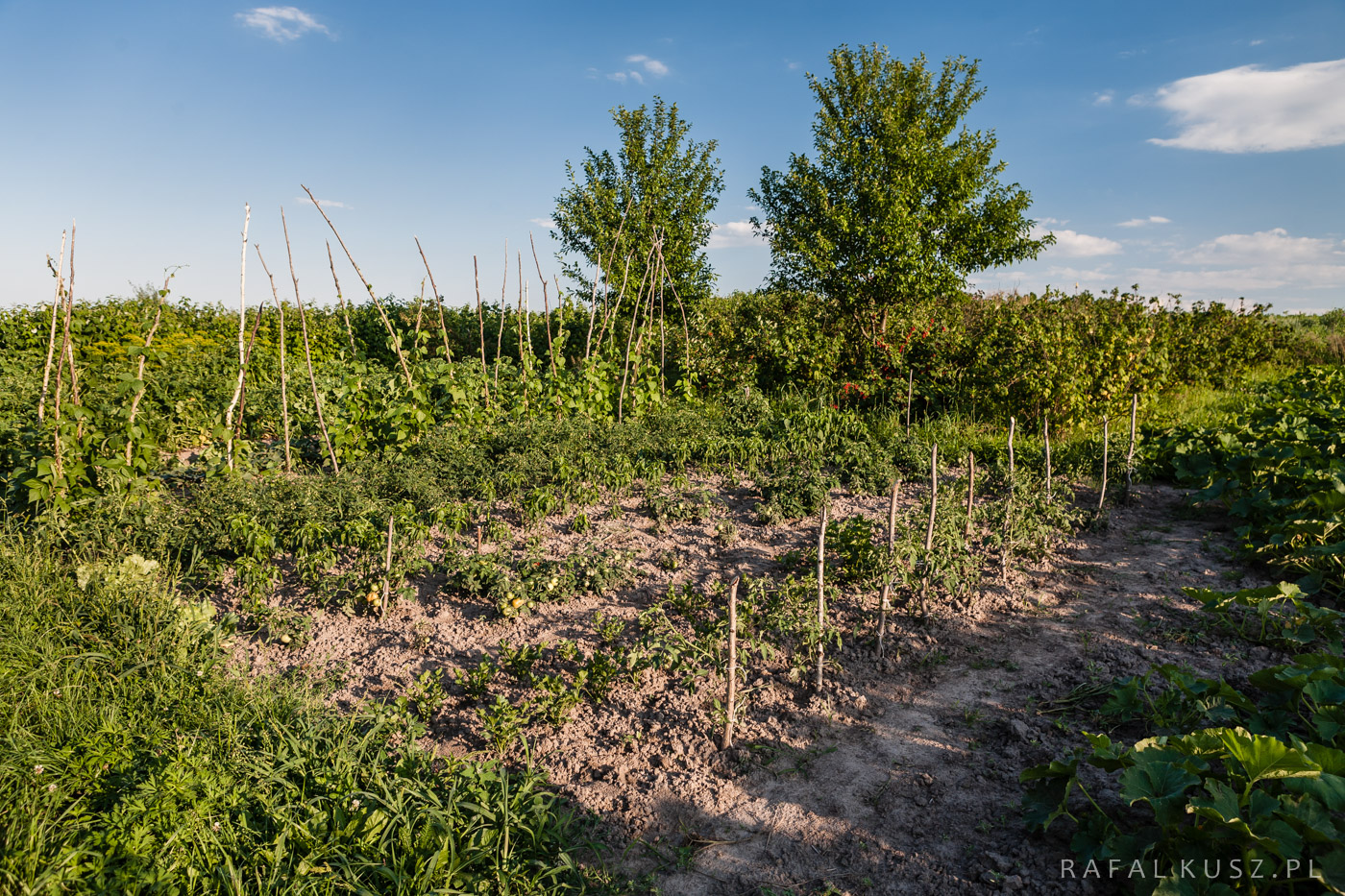 052 Majdan Nowy 0716