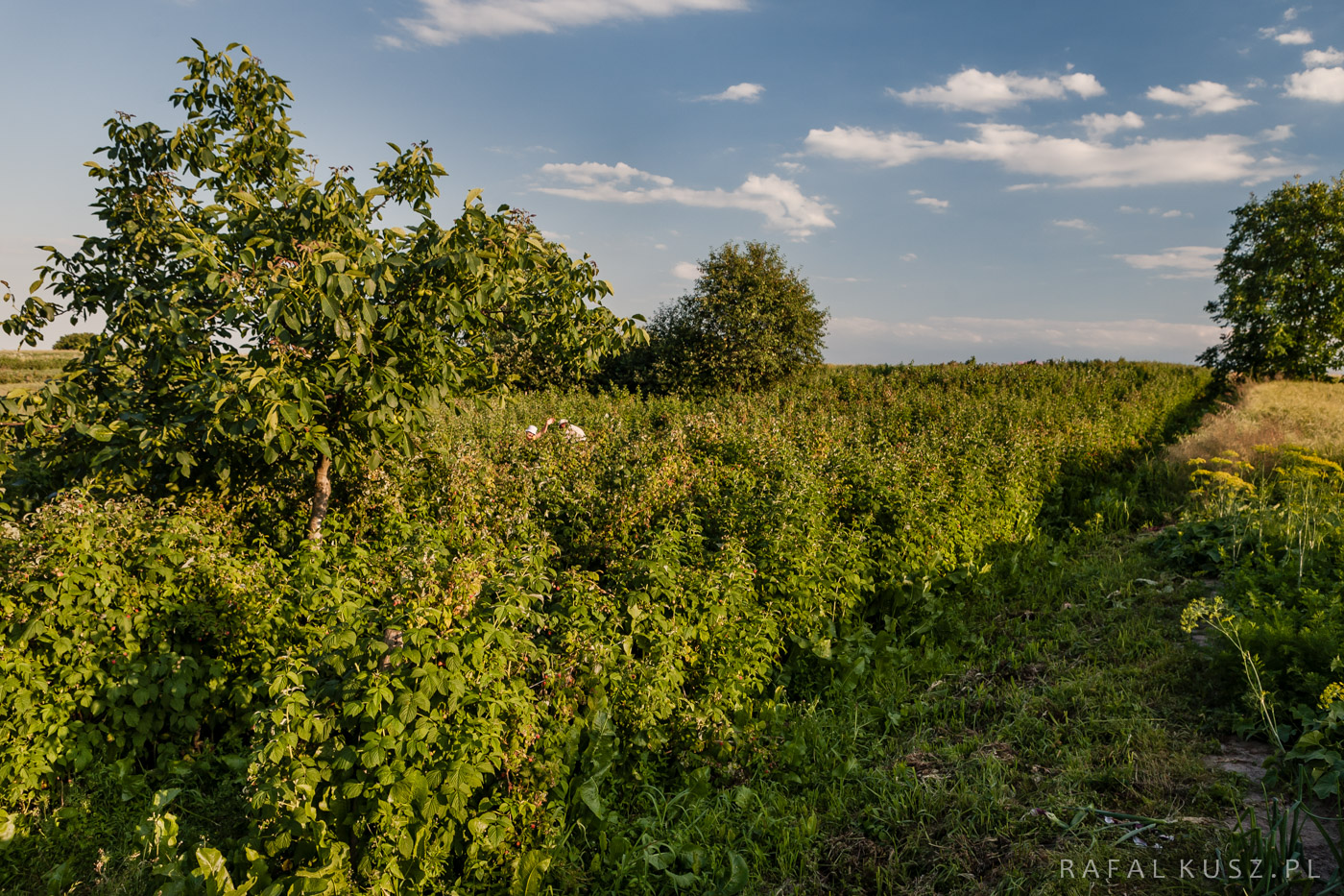 076 Majdan Nowy 0716