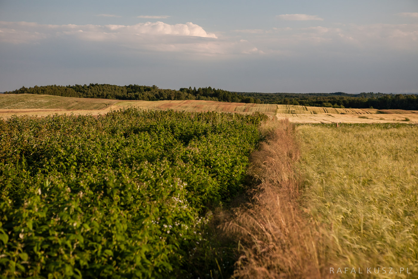 085 Majdan Nowy 0716