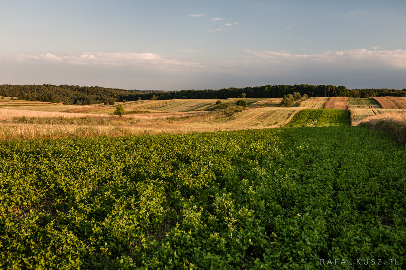 097 Majdan Nowy 0716