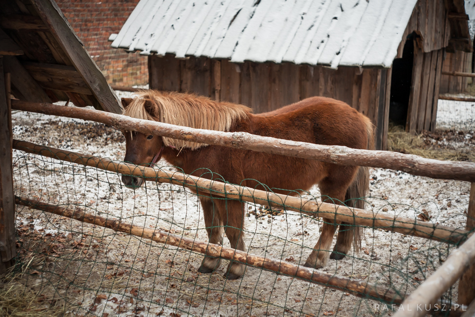 014 Jasna Gora 0116