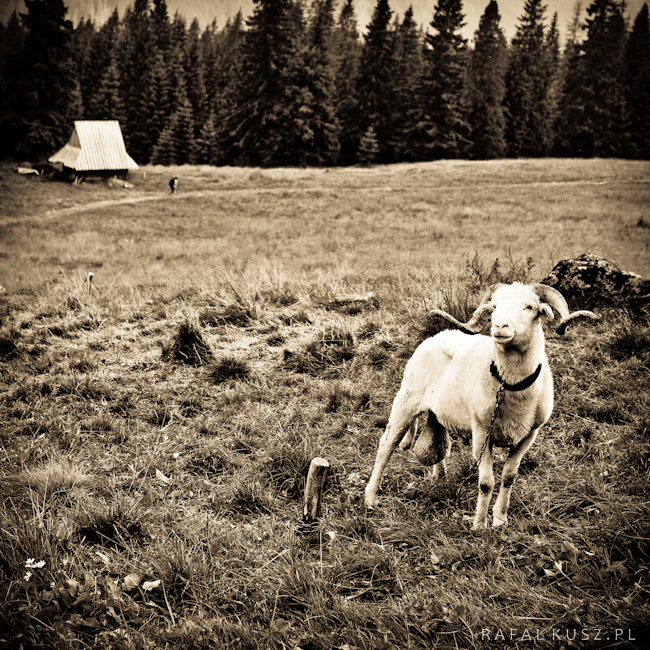 006 tatry 0710