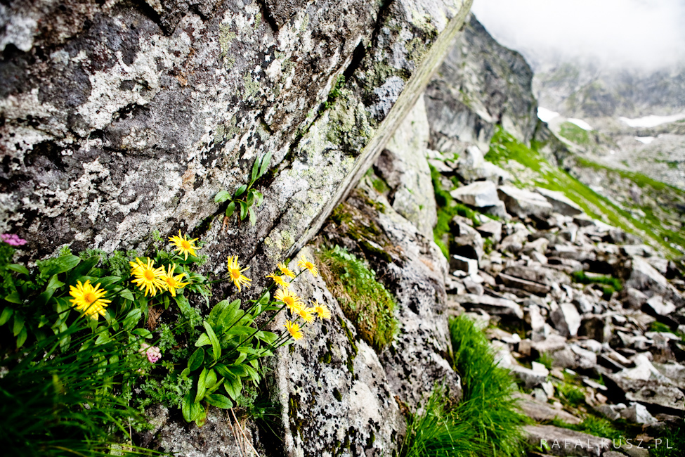 021 tatry 0710