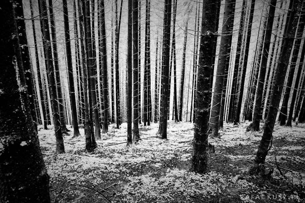 043 tatry 0609