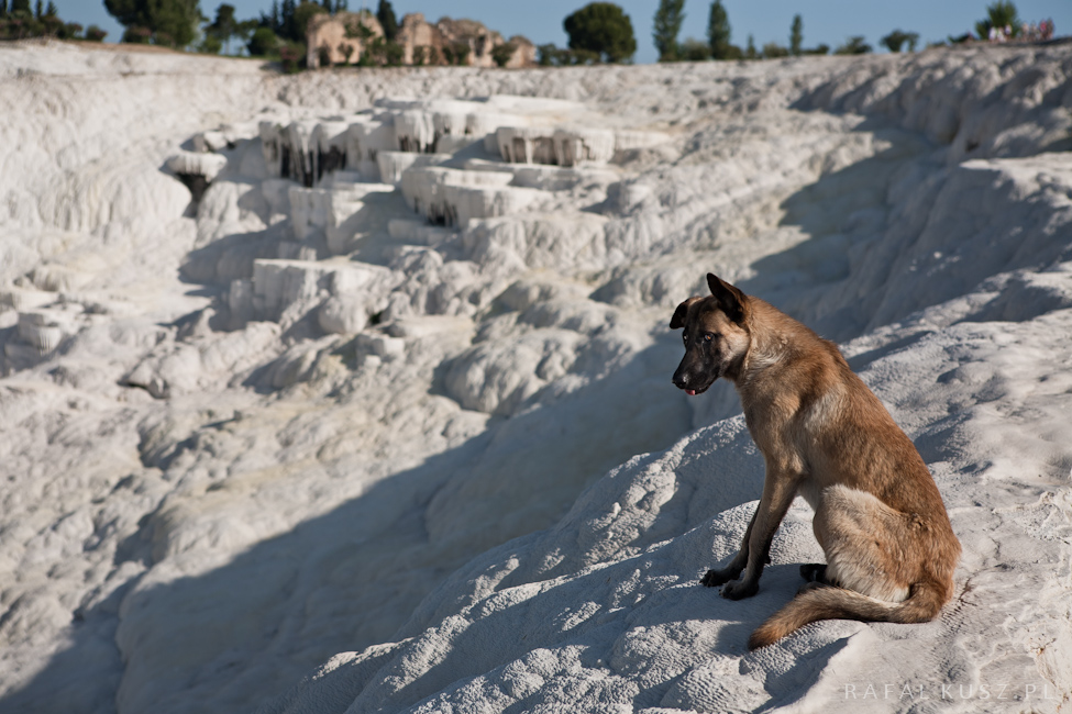 004 pamukkale 0511