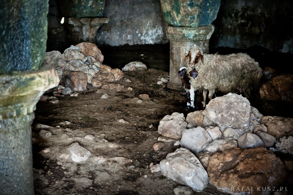 0311 perge 04