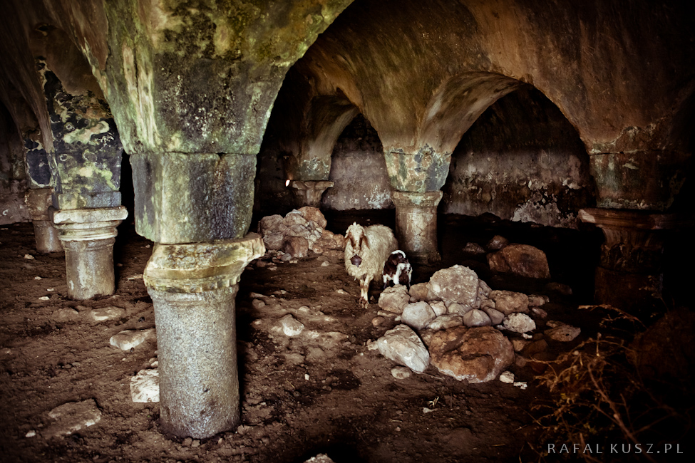 0311 perge 06