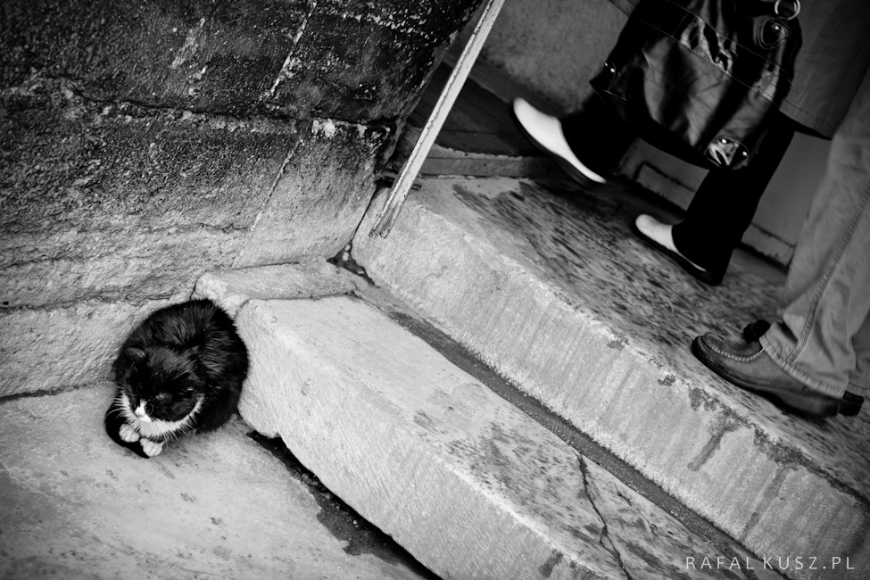 004 stambul 0211