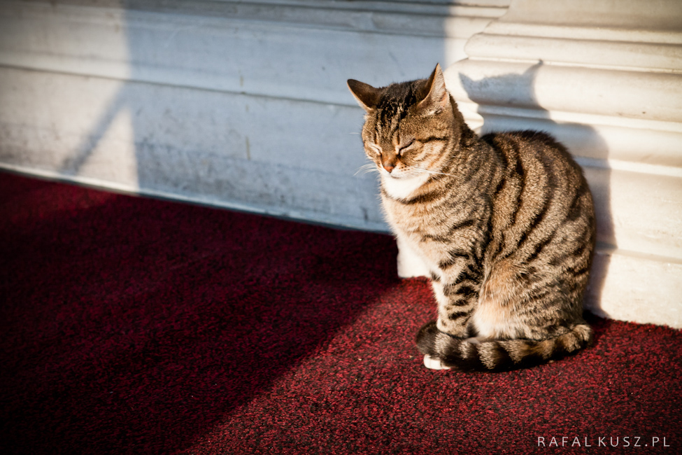 074 stambul 0211