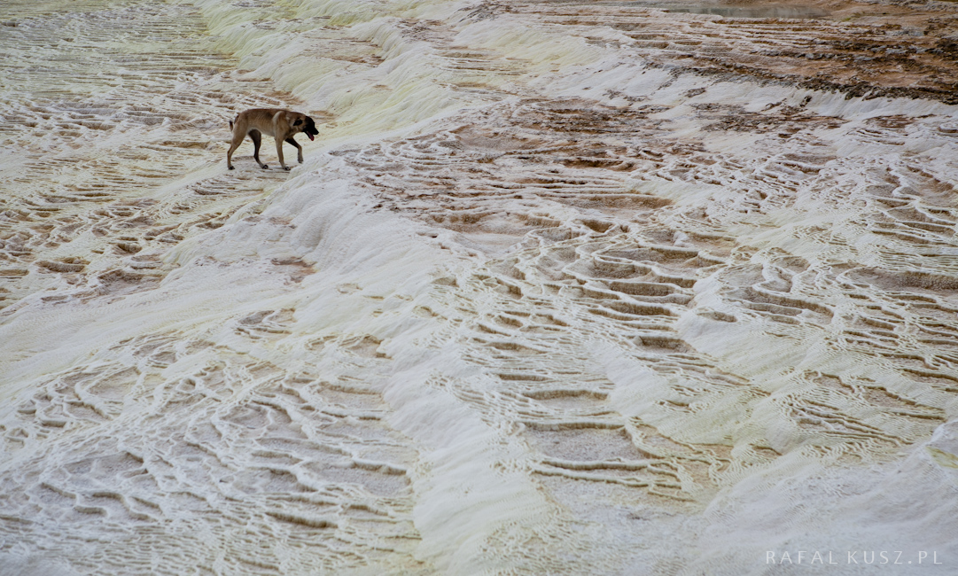 030 pamukkale 0511